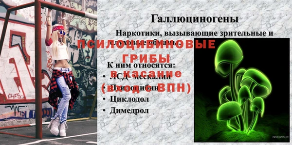 стафф Алексеевка
