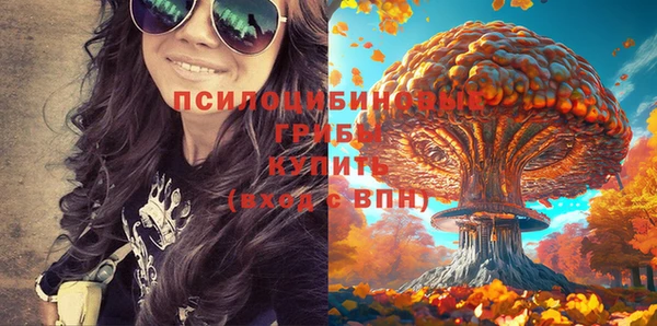 mdpv Алзамай
