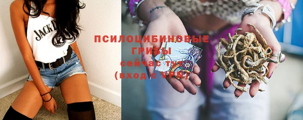 стафф Алексеевка