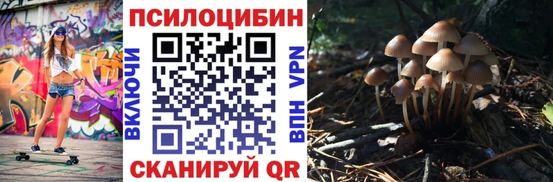 наркота Богучар Галлюциногенные грибы Psilocybine cubensis